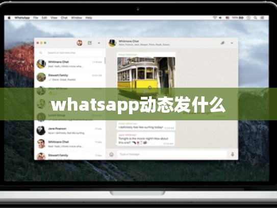 whatsapp动态发什么