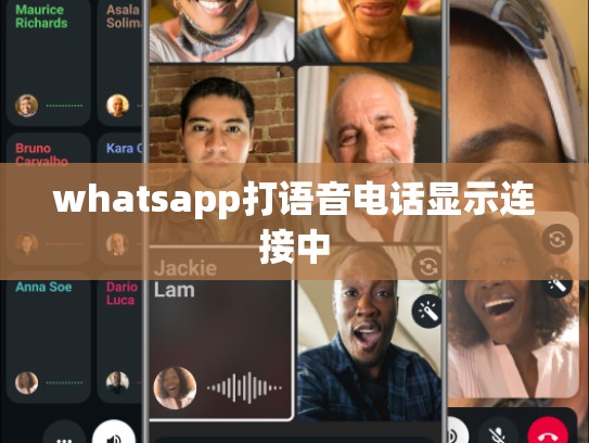whatsapp打语音电话显示连接中