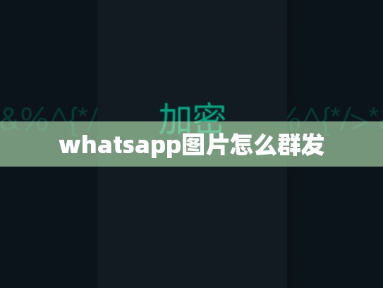 whatsapp图片怎么群发