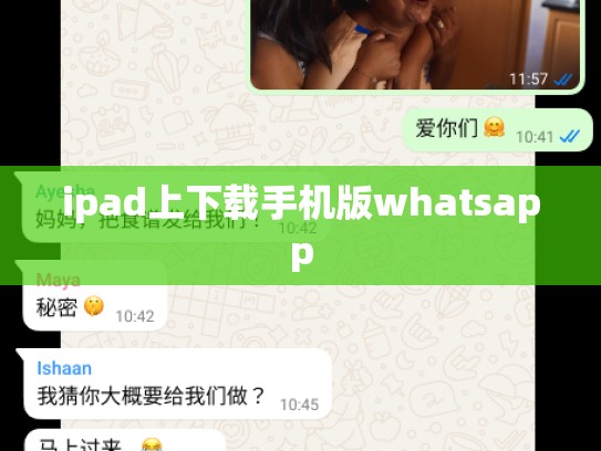 ipad上下载手机版whatsapp