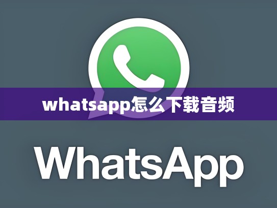 whatsapp怎么下载音频