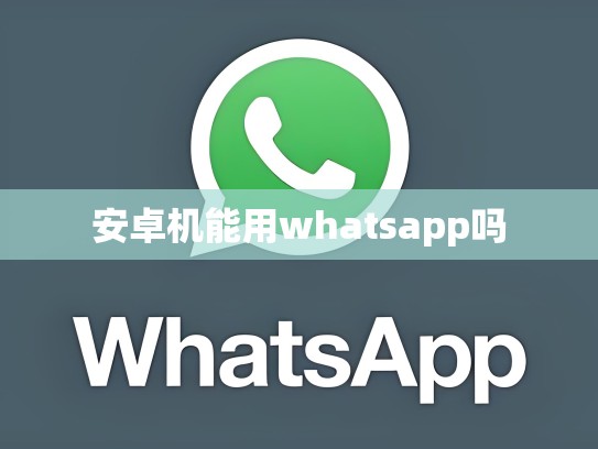 安卓机能用whatsapp吗