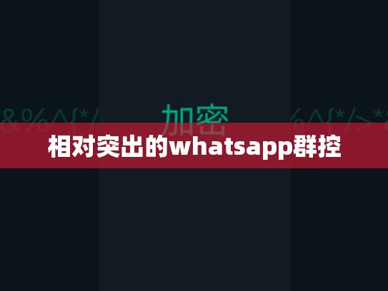 相对突出的whatsapp群控