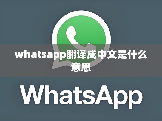 whatsapp翻译成中文是什么意思