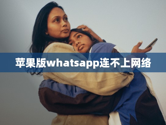 苹果版whatsapp连不上网络