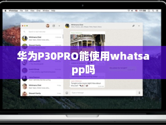 华为P30PRO能使用whatsapp吗