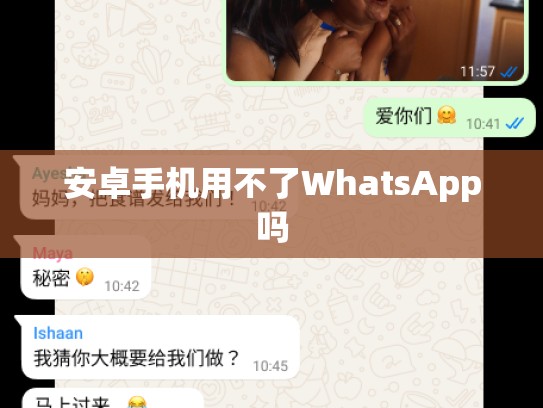 安卓手机用不了WhatsApp吗