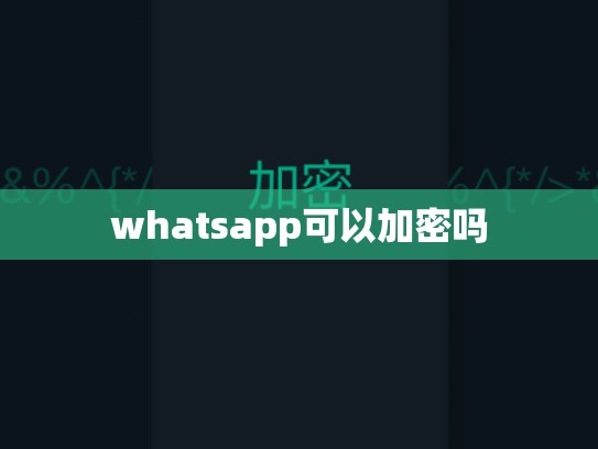whatsapp可以加密吗