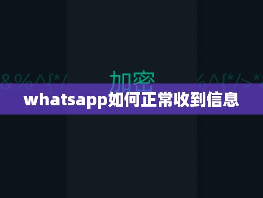 whatsapp如何正常收到信息