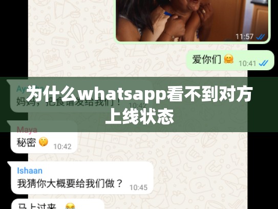 为什么whatsapp看不到对方上线状态