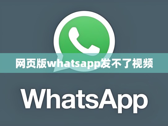 网页版whatsapp发不了视频