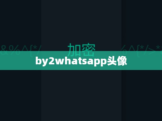 by2whatsapp头像