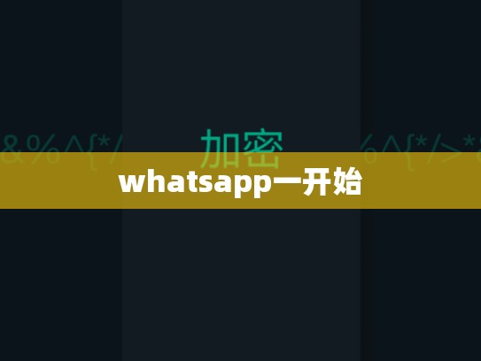 whatsapp一开始