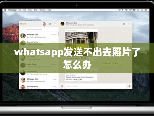 whatsapp发送不出去照片了怎么办