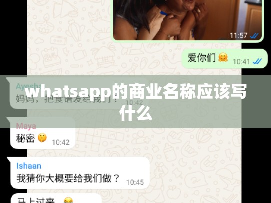 whatsapp的商业名称应该写什么