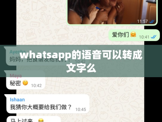 whatsapp的语音可以转成文字么