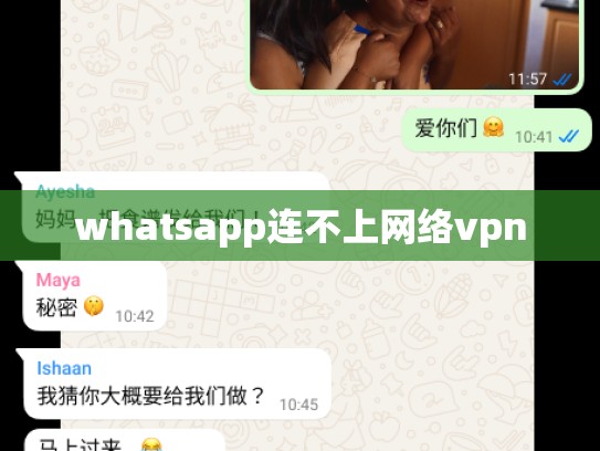 whatsapp连不上网络vpn