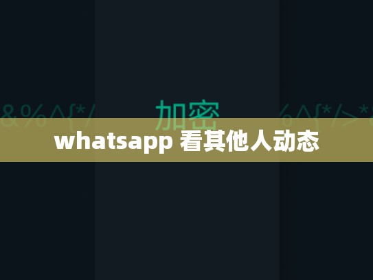 whatsapp 看其他人动态