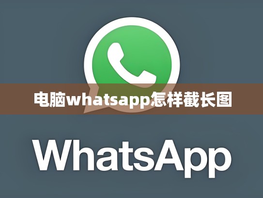 电脑whatsapp怎样截长图