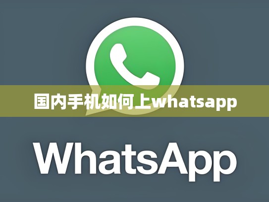 国内手机如何上whatsapp