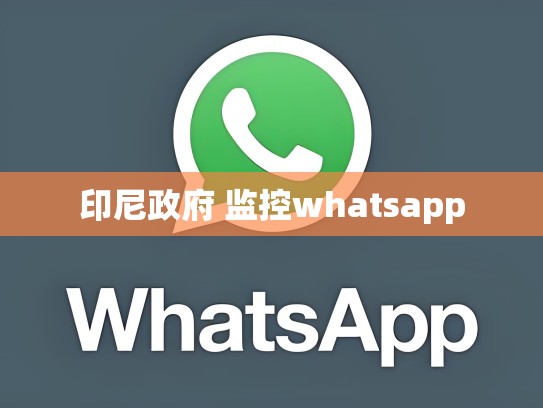 印尼政府 监控whatsapp