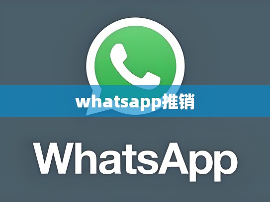 whatsapp推销