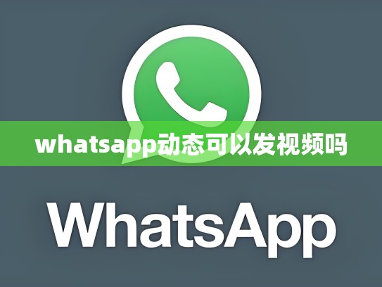 whatsapp动态可以发视频吗