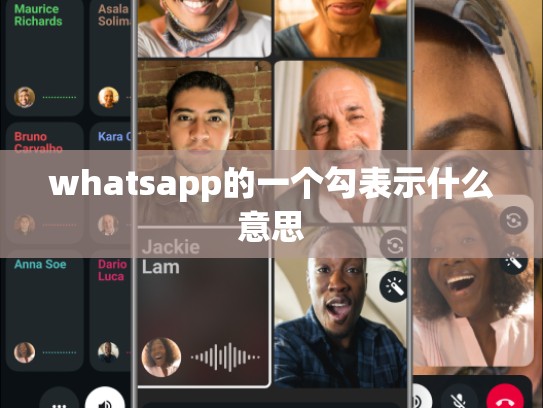 whatsapp的一个勾表示什么意思