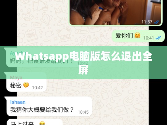 Whatsapp电脑版怎么退出全屏