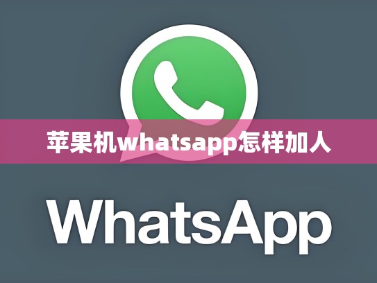 苹果机whatsapp怎样加人
