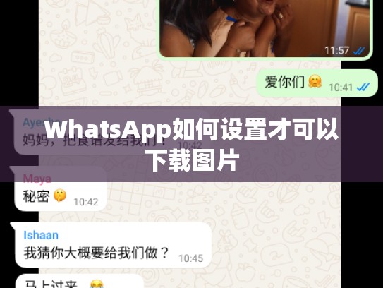 WhatsApp如何设置才可以下载图片