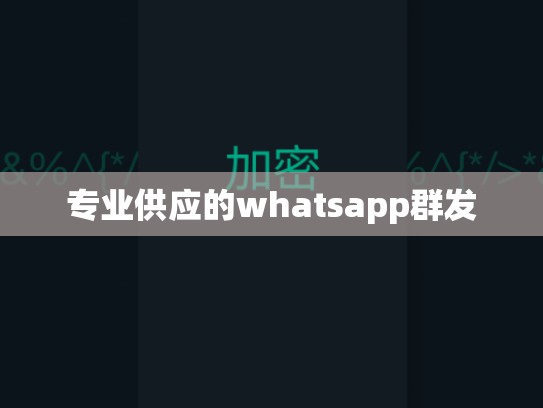 专业供应的whatsapp群发