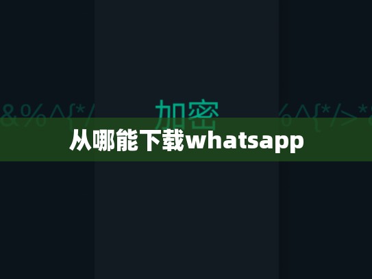 从哪能下载whatsapp