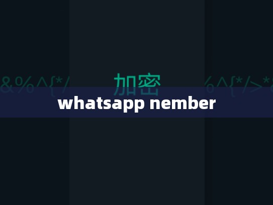 whatsapp nember