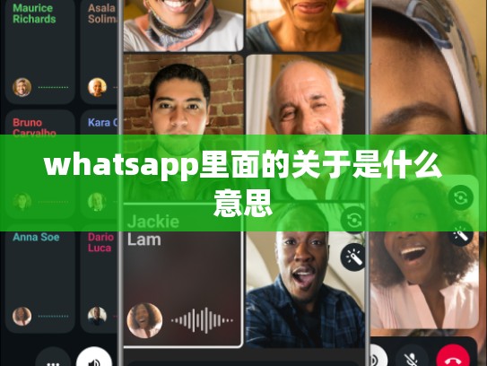 whatsapp里面的关于是什么意思