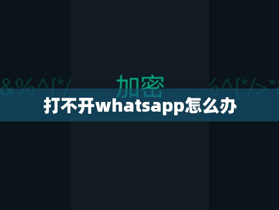 打不开whatsapp怎么办