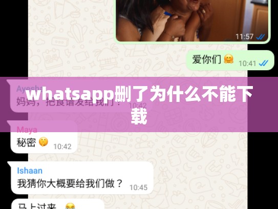 whatsapp删了为什么不能下载