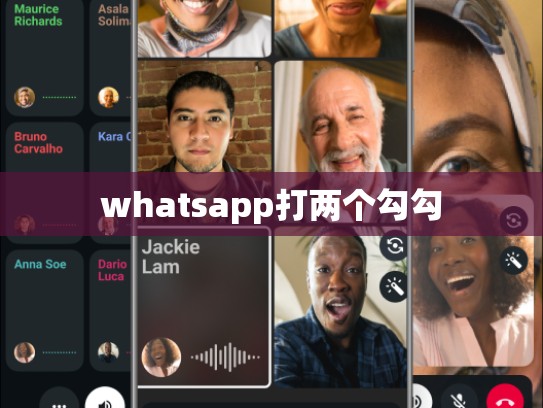 whatsapp打两个勾勾