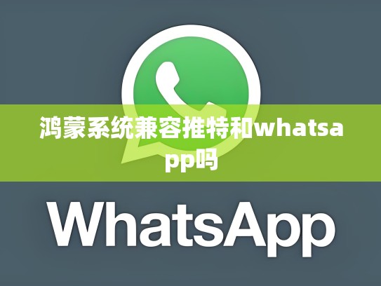 鸿蒙系统兼容推特和whatsapp吗
