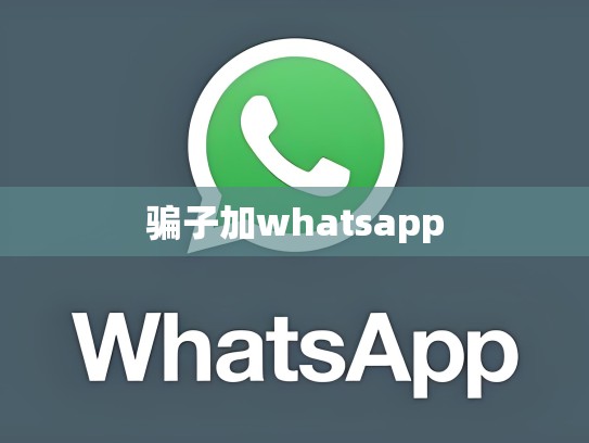 骗子加whatsapp