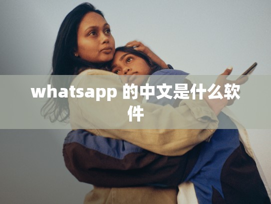 whatsapp 的中文是什么软件