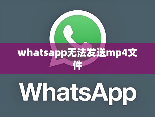 whatsapp无法发送mp4文件
