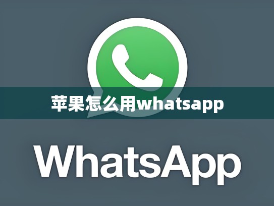 苹果怎么用whatsapp