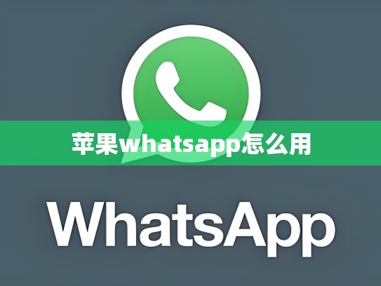 苹果whatsapp怎么用