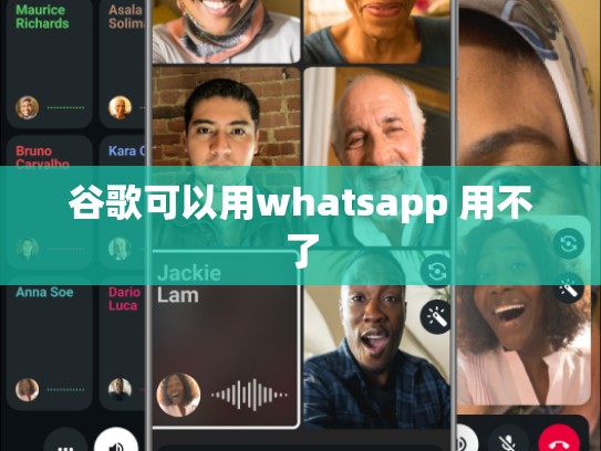 谷歌可以用whatsapp 用不了