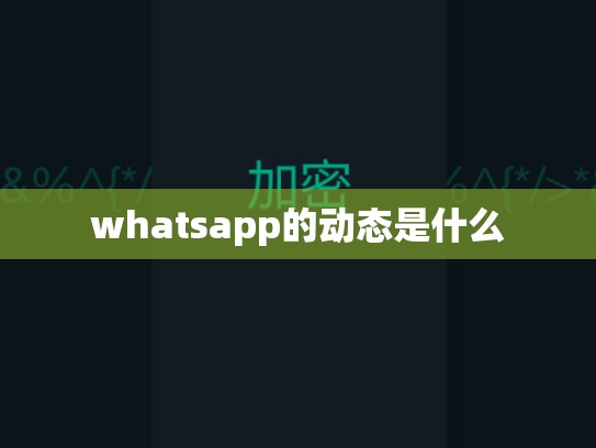 whatsapp的动态是什么