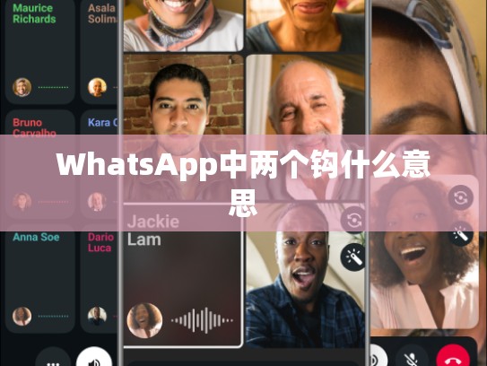 WhatsApp中两个钩什么意思