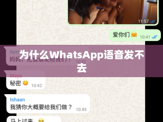 为什么WhatsApp语音发不去