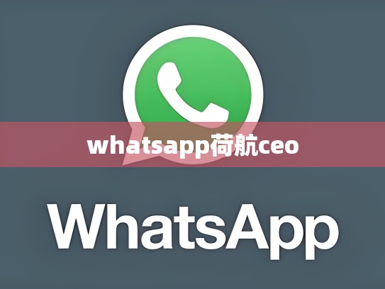 whatsapp荷航ceo