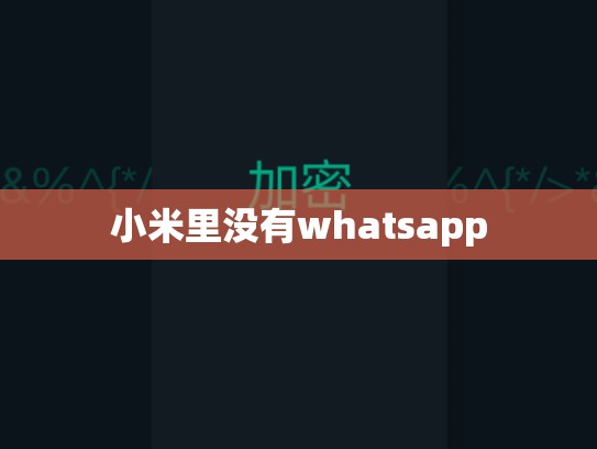 小米里没有whatsapp